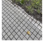Zwei Flächen, diagonal zueinender. Quadratische, graue Steine nehmen die untere, linke Ecke ein, Rasen die obere, rechte Ecke.